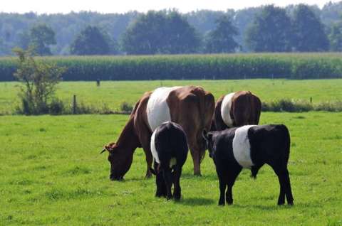 11-PCOB-Maarsbergen-5845-1024x680-1-768x510