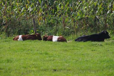 12-PCOB-Maarsbergen-5847-1024x680-1-768x510