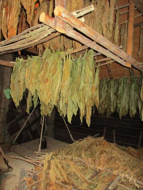 20170921_CAN_AH-PCOB-Maarsbergen_6202-768x1024