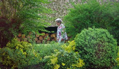 20190425-DS-6098-PCOB-Tulpenuitje-1536x890