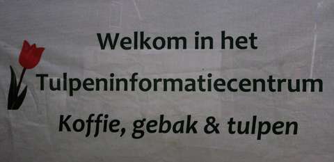 20190425-DS-6103-PCOB-Tulpenuitje-1536x746