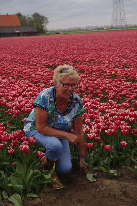 20190425-DS-6174-PCOB-Tulpenuitje-1020x1536