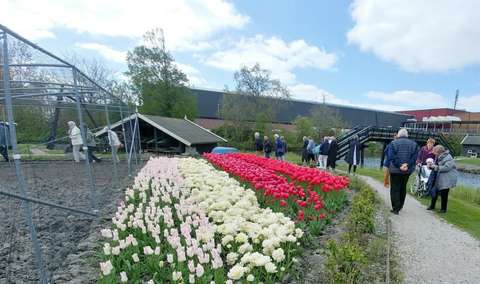 20230502-PCOB-Broekerveiling-31-Large-1024x606