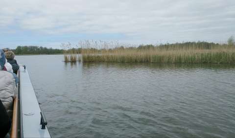 20230502-PCOB-Broekerveiling-48-Large-1024x600