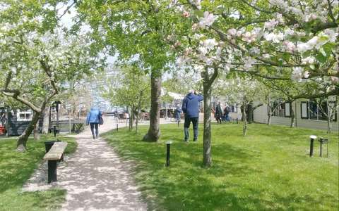 20230502-PCOB-Broekerveiling-40-Large-1024x641