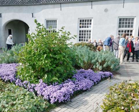 20231005-GH-Kruisherenklooster-11-bloementuin-Large-1024x825 (1)