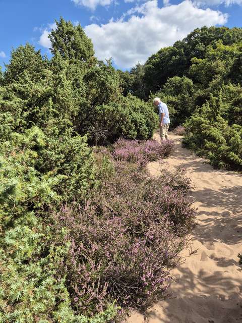 wandelen door de natuur