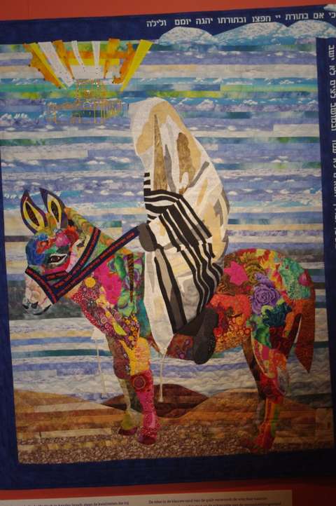 IMGP5645-11-680x1024-1