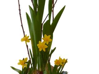 Paasstuk zonder achtergrond kleiner