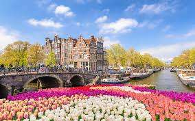 Tulpen uit Amsterdam