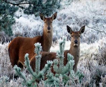 Voorkant nieuwsbrief januari - februari 2026