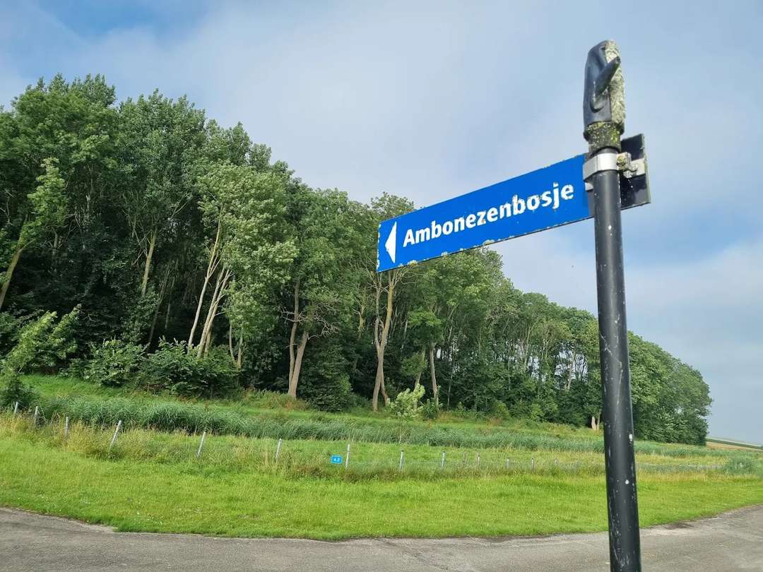 ambonezenbosje
