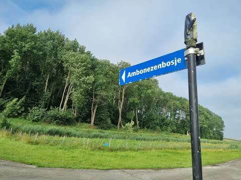 ambonezenbosje