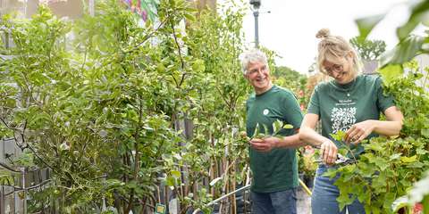 anbo-pcob-tuinieren-03-liggend