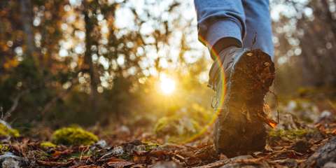 anbo-pcob-tipgids-wandelen-2