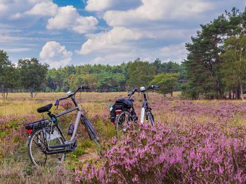 anbo-pcob-gelderland