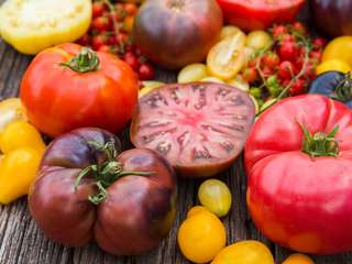 anbo-pcob-bespaartip-augustus-marieke-henselmans