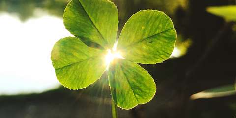 anbo-pcob-ouderen-geluksbarometer