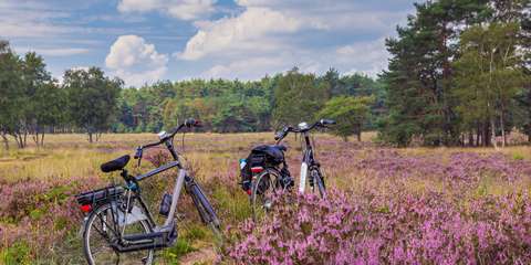 anbo-pcob-gelderland