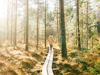 anbo-pcob-nieuwsbericht-lopen-wandelen