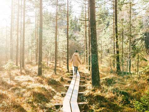 anbo-pcob-nieuwsbericht-lopen-wandelen