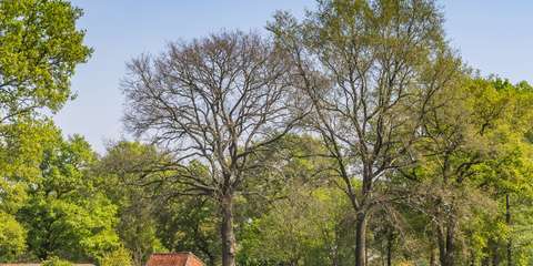 anbo-pcob-overijssel