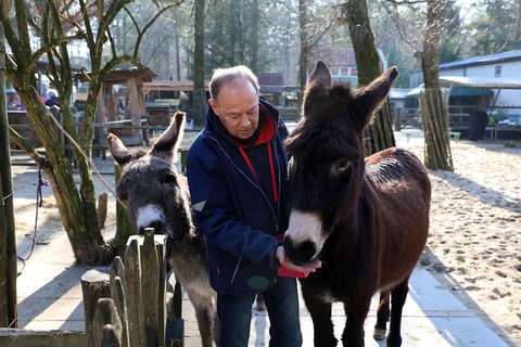 Dagboek van een vrijwilliger ezels