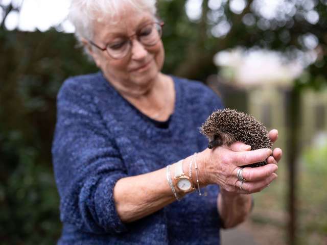 anbo-pcob-egel-opvang-artikel
