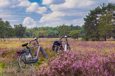 anbo-pcob-gelderland