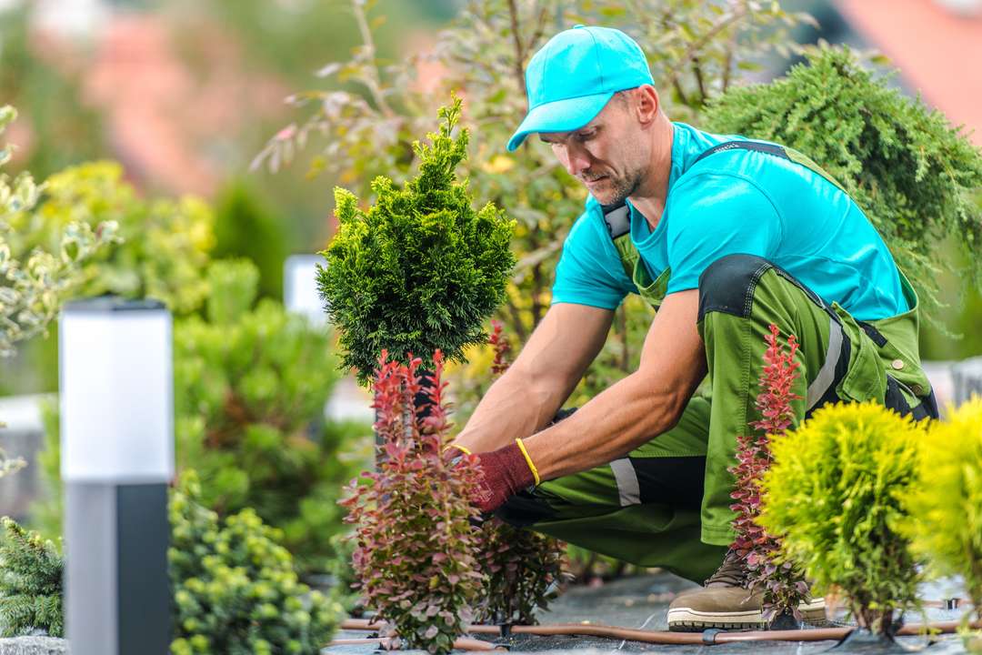 Tuinhulp | ANBO-PCOB