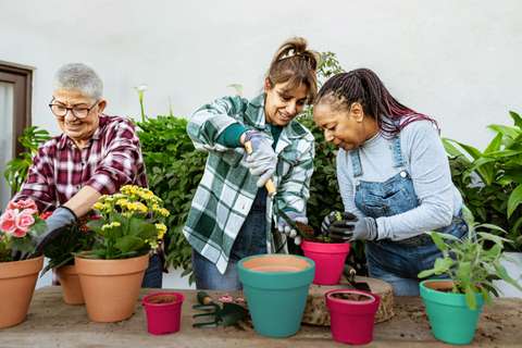 Buurtgenoten verpotten samen planten - Leefcirkels - ANBO-PCOB