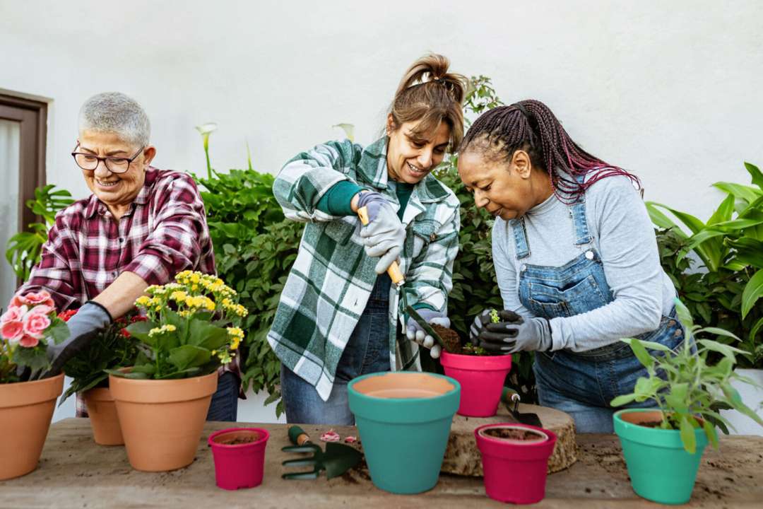 Buurtgenoten verpotten samen planten - Leefcirkels - ANBO-PCOB