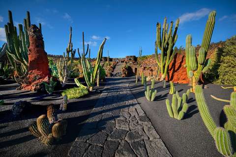 Spectaculair Lanzarote: zon, zee en zwarte lava