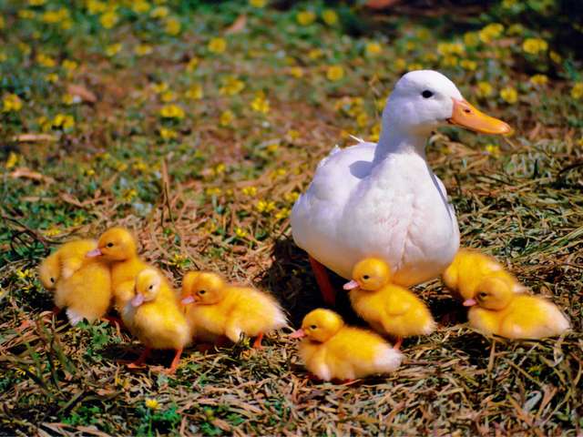 anbo-pcob-nieuwsbericht-bespaartips-mei