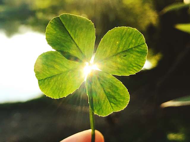 anbo-pcob-ouderen-geluksbarometer