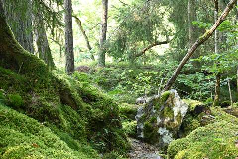 anbo-pcob-ouderenwijzer-magazine-reizen-smaland-8