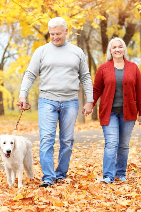 Wandelen met de hond | ANBO-PCOB