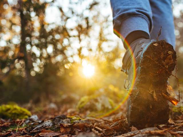 anbo-pcob-tipgids-wandelen-2