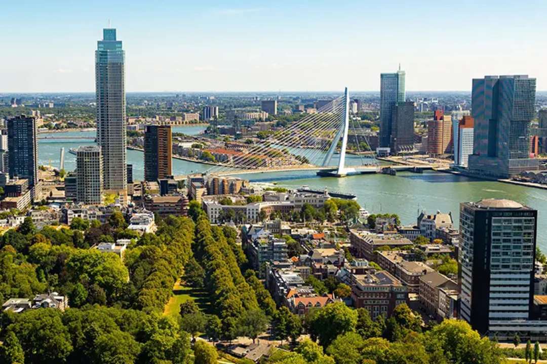 Zilvergoud rotterdam anbo-pcob