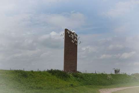 bew DSC07194