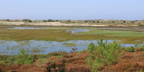 anbo-pcob-vlieland-foto-3