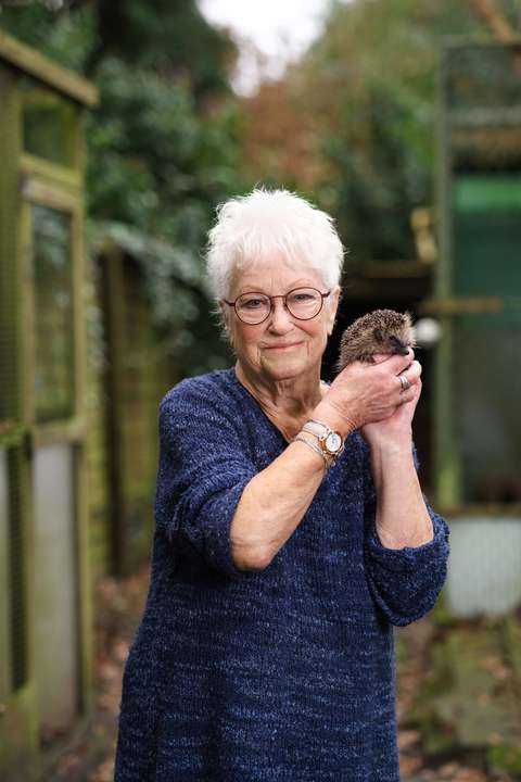 Vrijwilliger met een egel | ANBO-PCOB