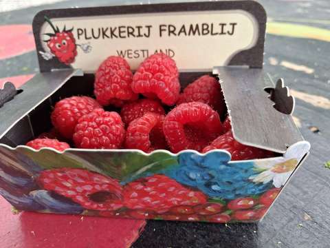 framblijjjjj