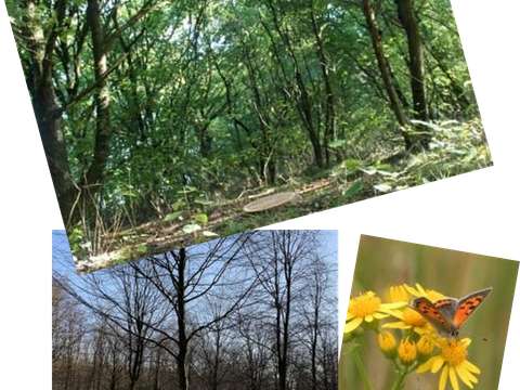 HilligMeer groepsfoto