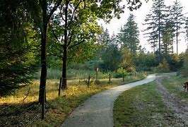 Aan de rand van de Noordoostpolder, tegen Friesland en Overijssel aan, ligt het Kuinderbos. De naam komt van het voormalige Zuiderzeestadje Kuinre, dat aan de rand van het bos ligt. Het bos is aangelegd na de drooglegging in de jaren vijftig en is nu het