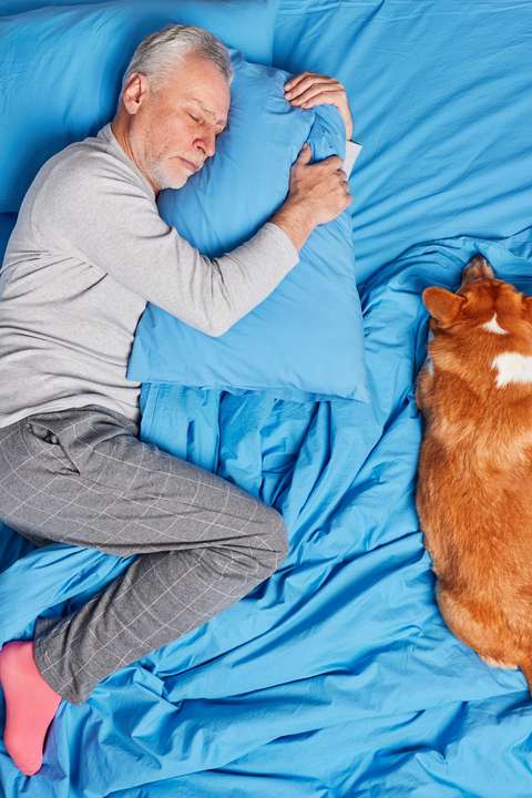 Slapen met hond | OuderENwijzer