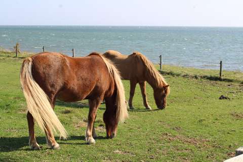 Vlieland Foto 6 ANBO-PCOB