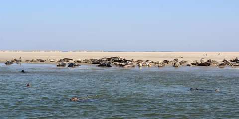 anbo-pcob-vlieland-foto-7