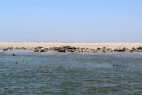 Vlieland Foto 7 ANBO-PCOB